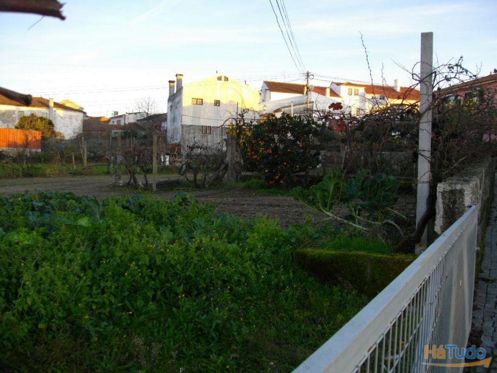Venda de Terreno em Lagares