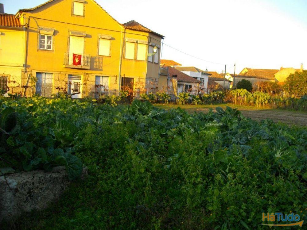Venda de Terreno em Lagares