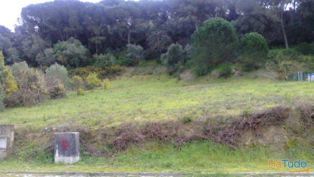 Palmela/Cabanas Magnifico Terreno com 1976 m2 no Sop da Serra Louro.