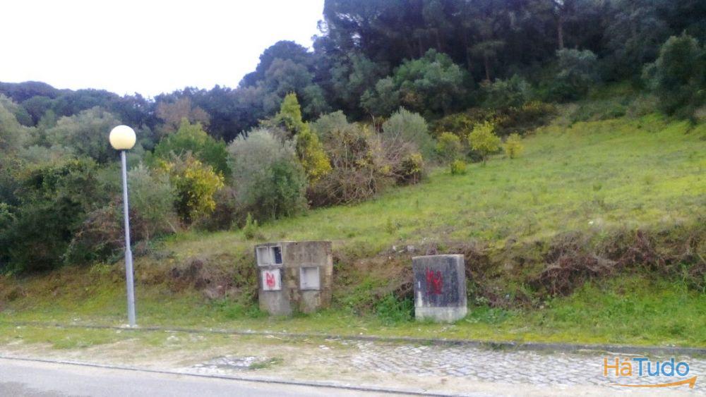 Palmela/Cabanas Magnifico Terreno com 1976 m2 no Sop da Serra Louro.