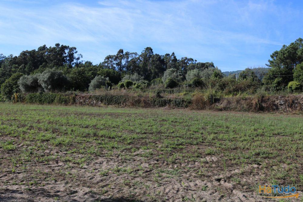 Terreno agrícola em Refóios, Ponte de Lima