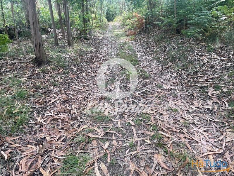 Terreno Agrícola e Florestal de 14.349m2 em Ferreiró, Vila do Conde Terreno Agrícola e Florestal de 14.349m2 em Ferreiró, Vila do Conde