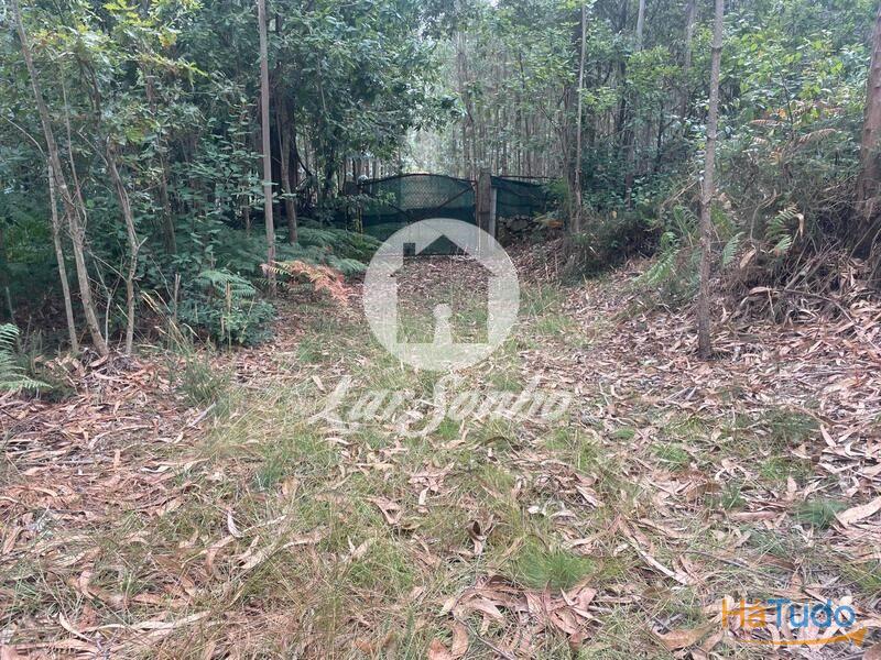 Terreno Agrícola e Florestal de 14.349m2 em Ferreiró, Vila do Conde Terreno Agrícola e Florestal de 14.349m2 em Ferreiró, Vila do Conde