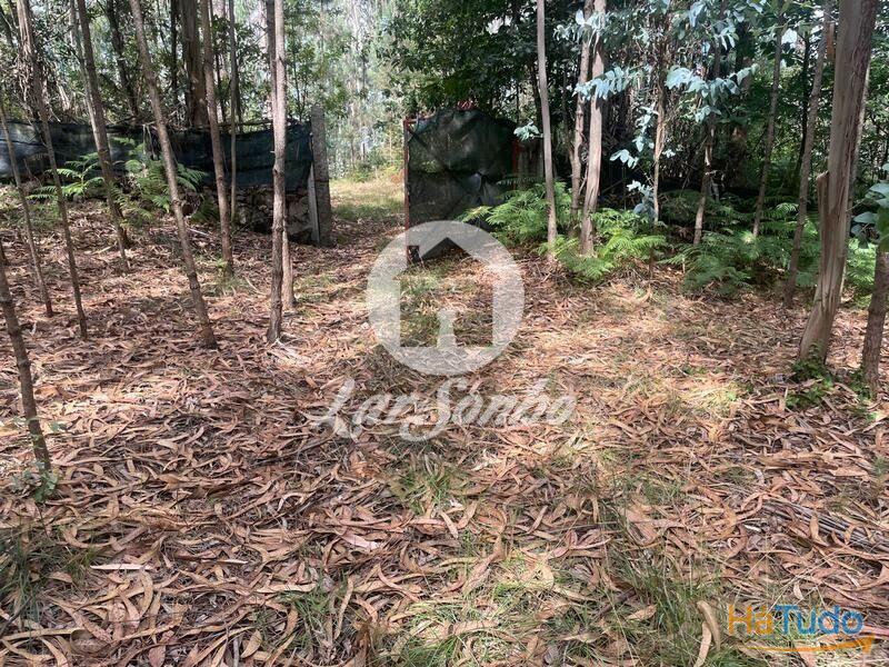 Terreno Agrícola e Florestal de 14.349m2 em Ferreiró, Vila do Conde Terreno Agrícola e Florestal de 14.349m2 em Ferreiró, Vila do Conde