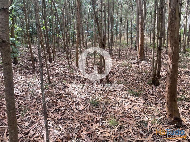 Terreno Agrícola e Florestal de 14.349m2 em Ferreiró, Vila do Conde Terreno Agrícola e Florestal de 14.349m2 em Ferreiró, Vila do Conde