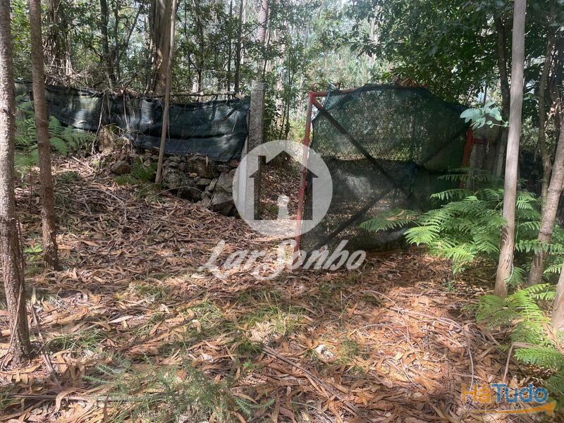 Terreno Agrícola e Florestal de 14.349m2 em Ferreiró, Vila do Conde Terreno Agrícola e Florestal de 14.349m2 em Ferreiró, Vila do Conde