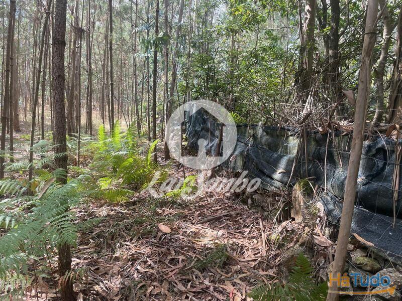 Terreno Agrícola e Florestal de 14.349m2 em Ferreiró, Vila do Conde Terreno Agrícola e Florestal de 14.349m2 em Ferreiró, Vila do Conde