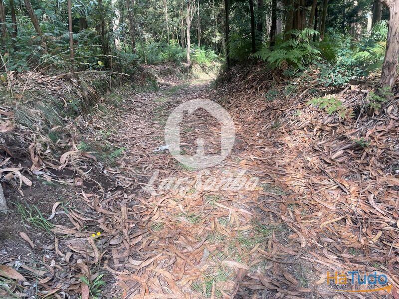 Terreno Agrícola e Florestal de 1.476m2 em Ferreiró, Vila do Conde Terreno Agrícola e Florestal de 1.476m2 em Ferreiró, Vila do Conde