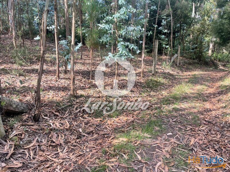 Terreno Agrícola e Florestal de 1.476m2 em Ferreiró, Vila do Conde Terreno Agrícola e Florestal de 1.476m2 em Ferreiró, Vila do Conde