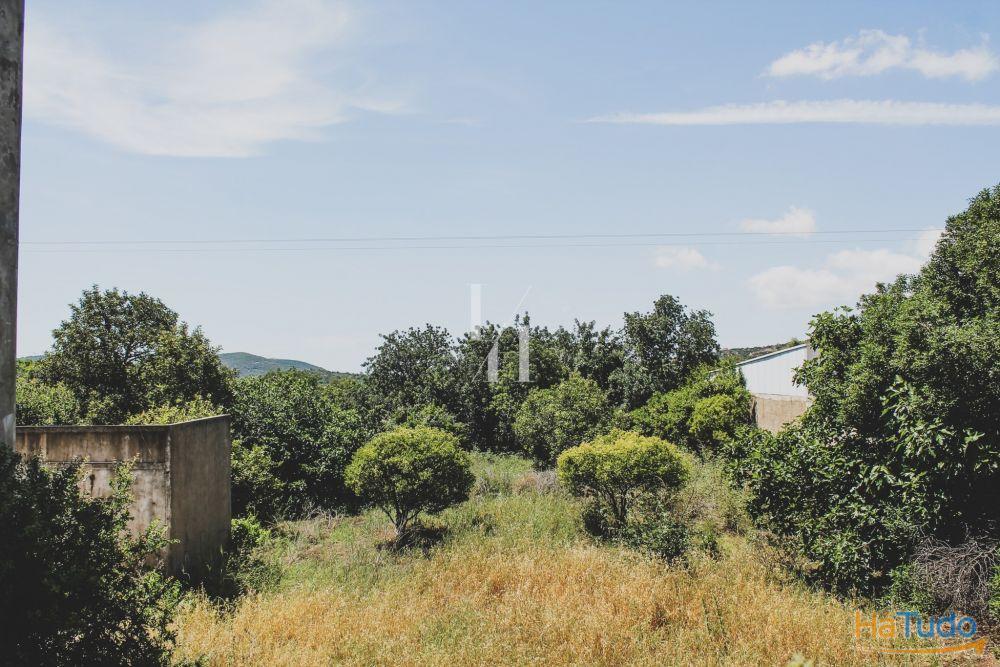 Lote de terreno situado na vila de São Brás de Alportel