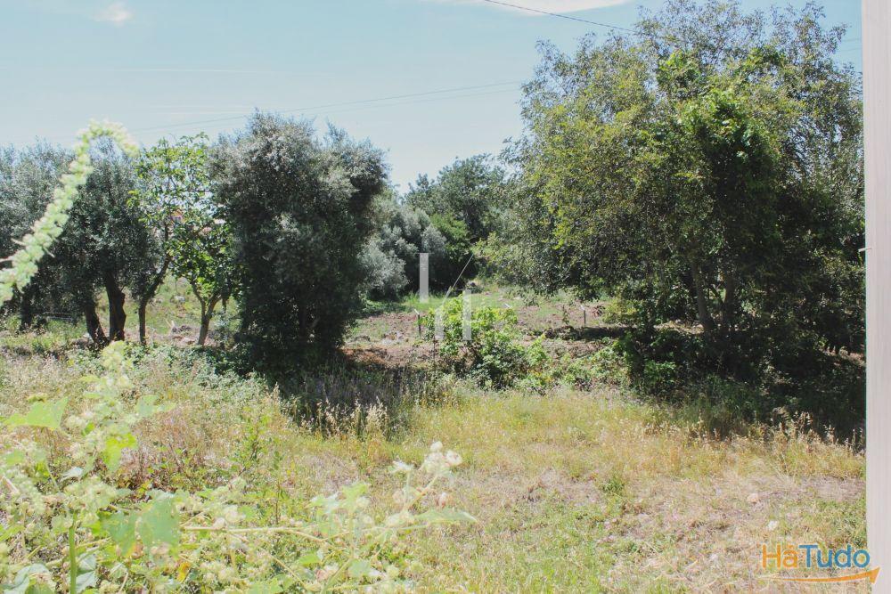 Lote de terreno situado na vila de São Brás de Alportel
