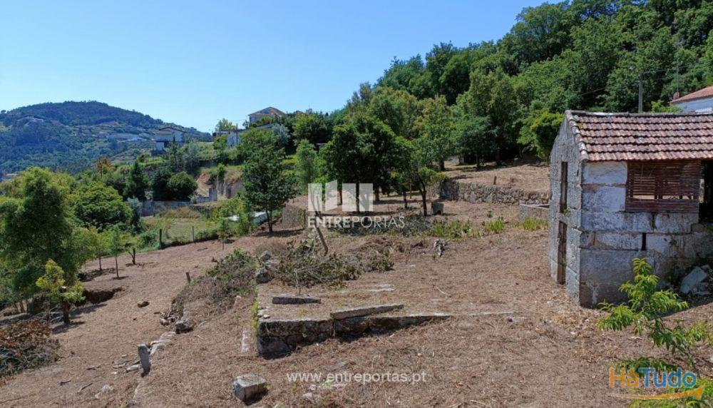 Venda Excelente Quinta com Moradia para reconstruir, Várzea do Douro, Marco de Canaveses
