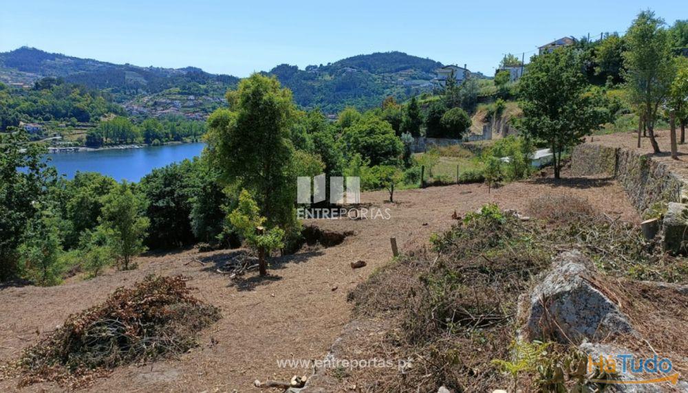 Venda Excelente Quinta com Moradia para reconstruir, Várzea do Douro, Marco de Canaveses