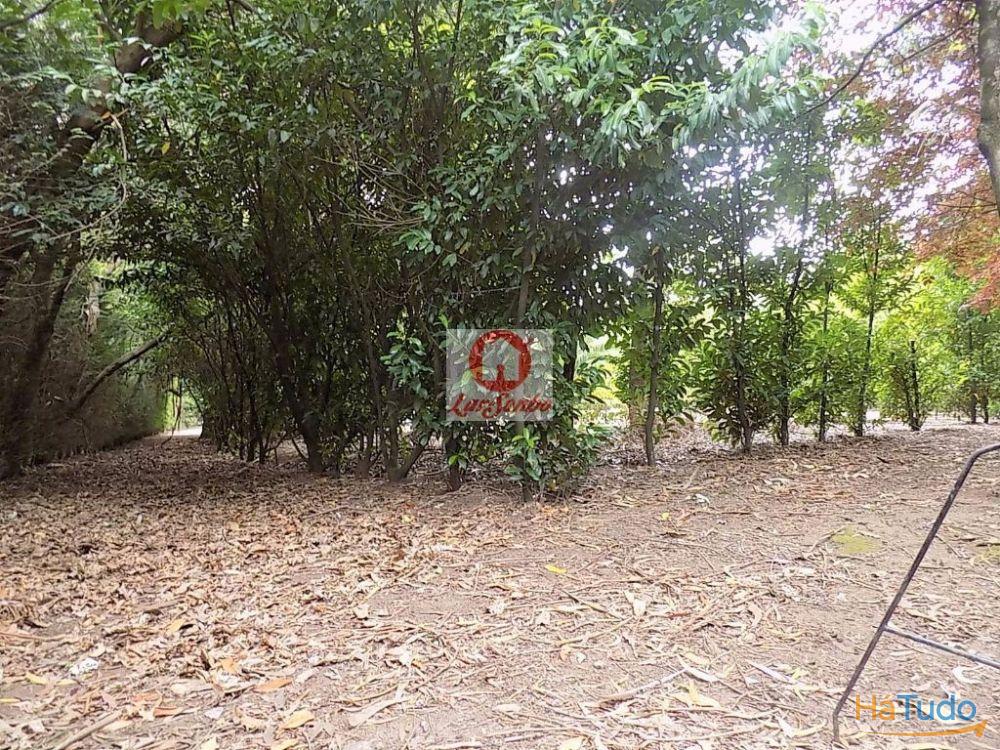Terreno inserido em zona verde c/ 9200m2 em Cruz, Vila Nova de Famalicão