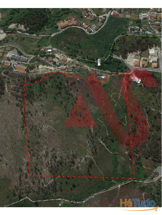 Terreno florestal com 46.000 m2 em Santa Eulália, Vizela