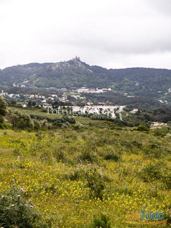 Terreno com cerca de 5.500m2, situada na região de Sintra