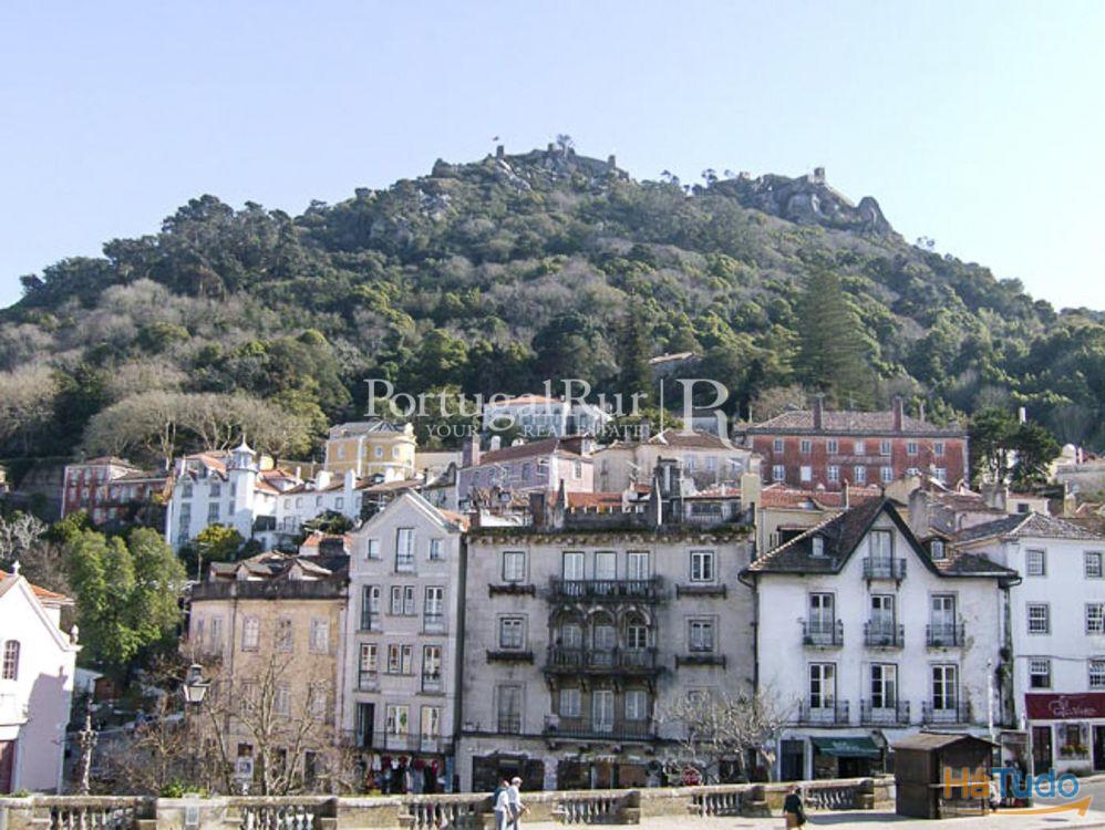 Terreno com cerca de 5.500m2, situada na região de Sintra