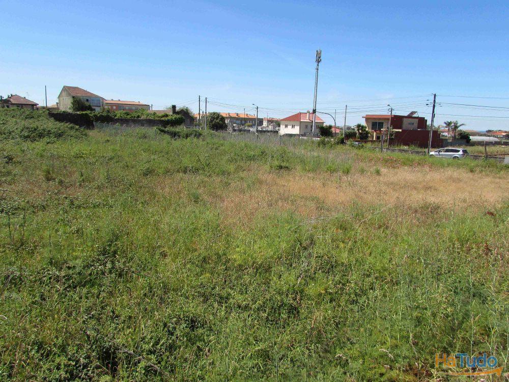 Terreno para construção em Marinhas / Esposende (2822) Terreno para construção em Marinhas / Esposende (2822)