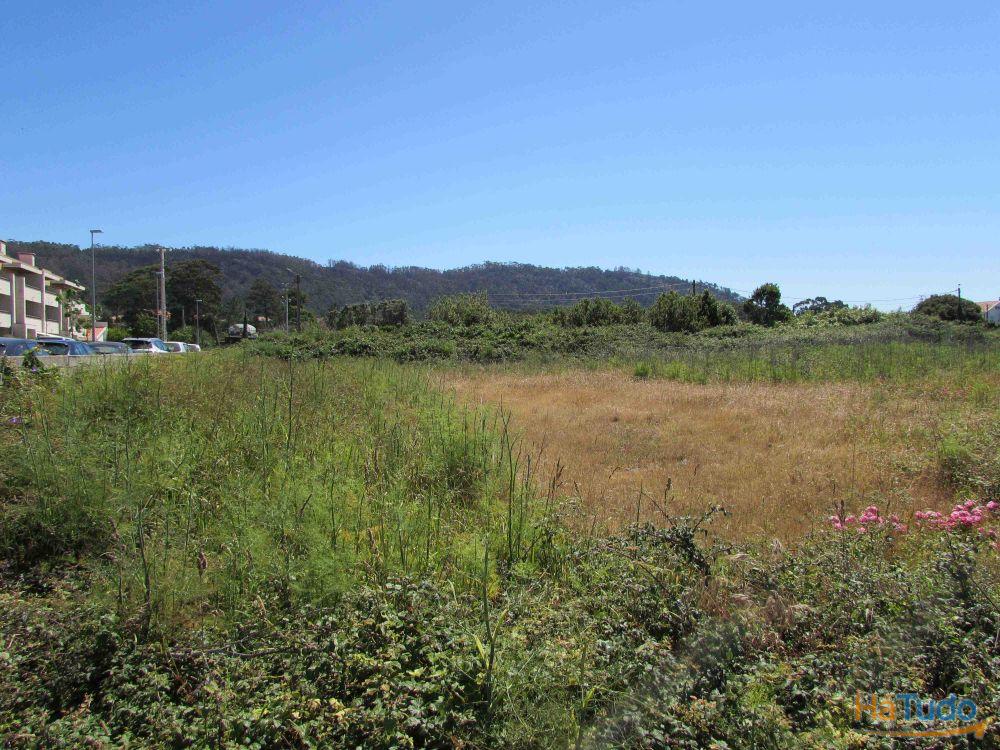 Terreno para construção em Marinhas / Esposende (2822) Terreno para construção em Marinhas / Esposende (2822)