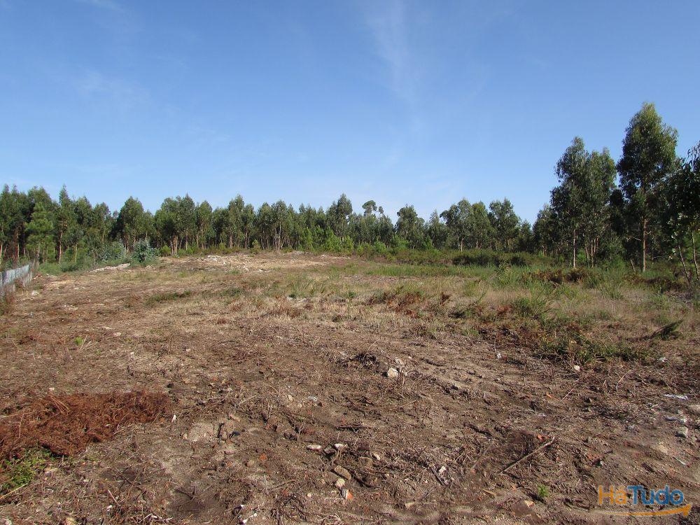 Terreno para construção em Vila Chã / Esposende (2810) Terreno para construção em Vila Chã / Esposende (2810)