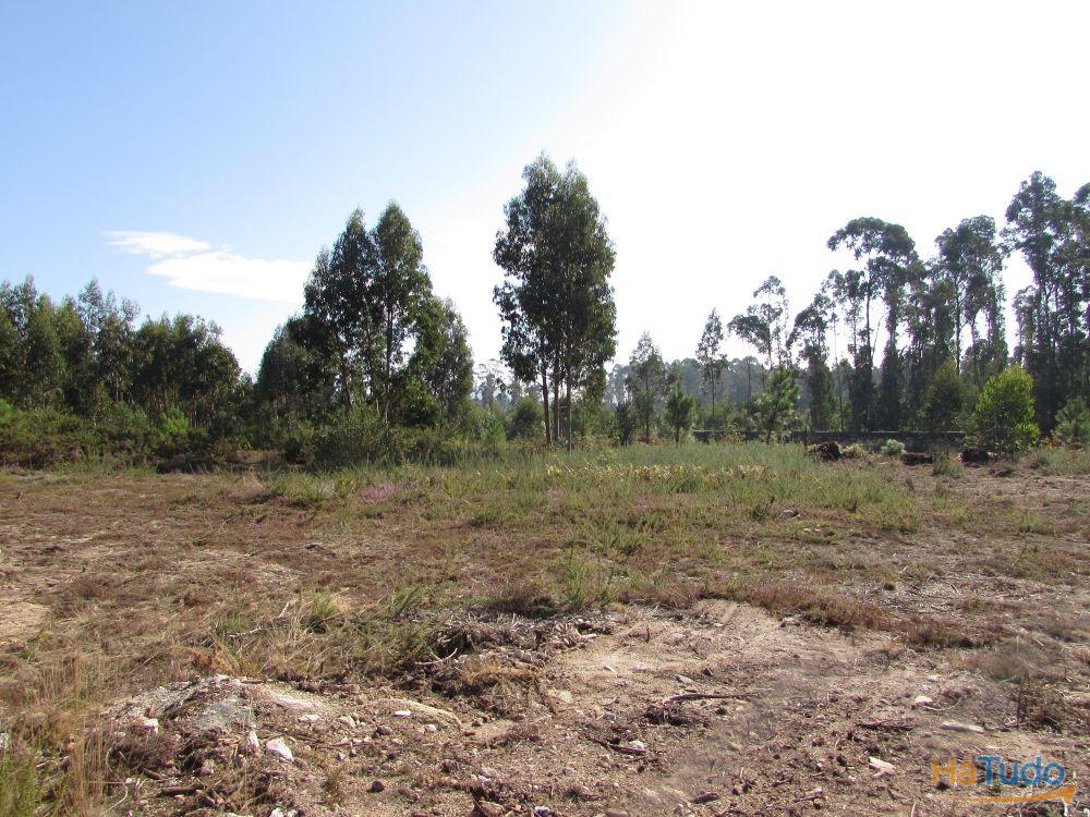 Terreno para construção em Vila Chã / Esposende (2810) Terreno para construção em Vila Chã / Esposende (2810)