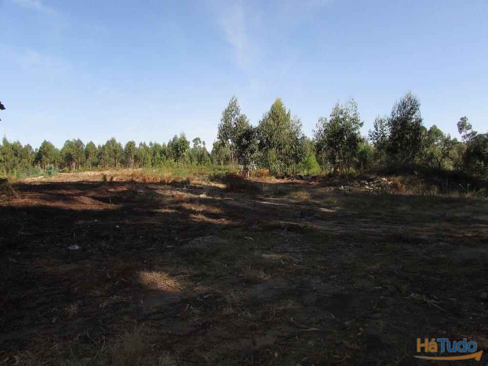 Terreno para construção em Vila Chã / Esposende (2810) Terreno para construção em Vila Chã / Esposende (2810)