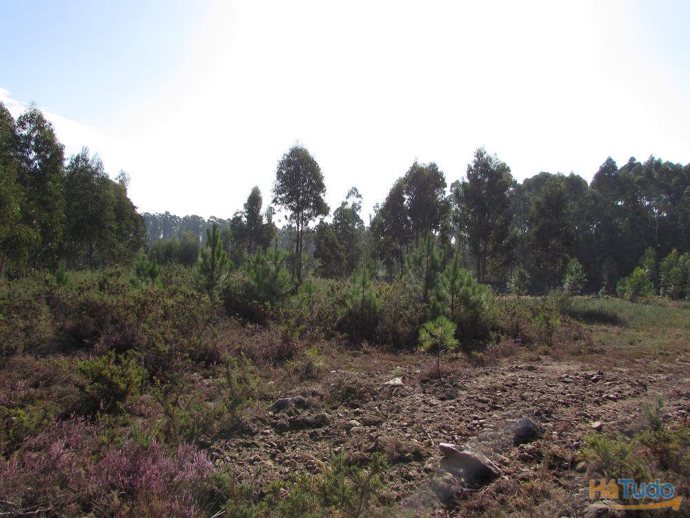 Terreno para construção em Vila Chã / Esposende (2810) Terreno para construção em Vila Chã / Esposende (2810)