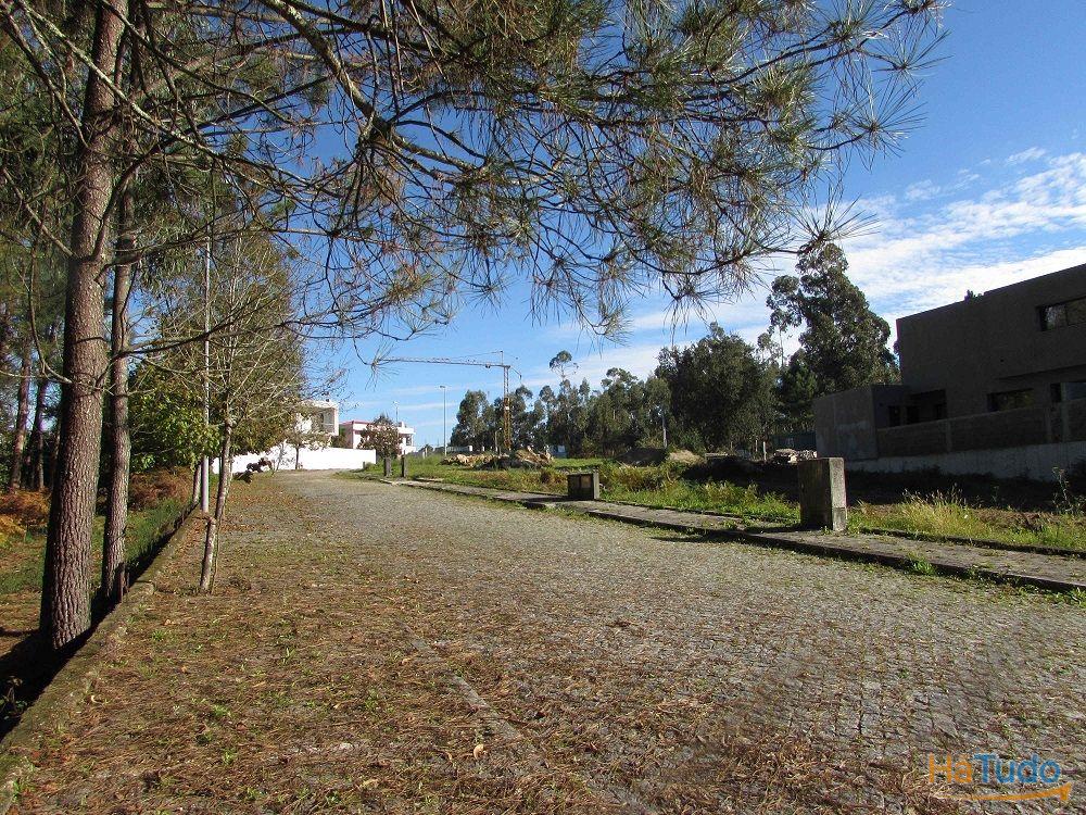Lotes em Palmeira de Faro / Esposende (2432A) Lotes em Palmeira de Faro / Esposende (2432A)