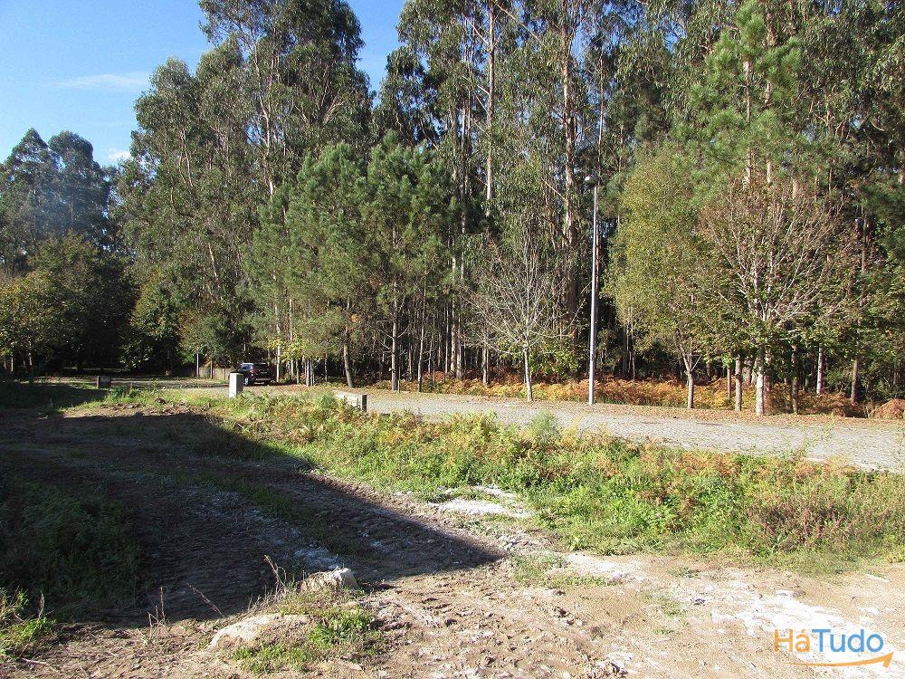 Lotes em Palmeira de Faro / Esposende (2432A) Lotes em Palmeira de Faro / Esposende (2432A)