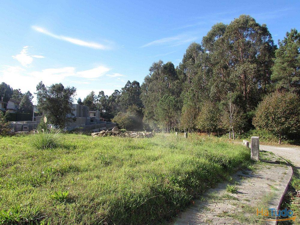 Lotes em Palmeira de Faro / Esposende (2432A) Lotes em Palmeira de Faro / Esposende (2432A)